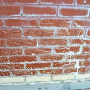 building-cleaning-6
