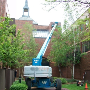 large-building-cleaning-5